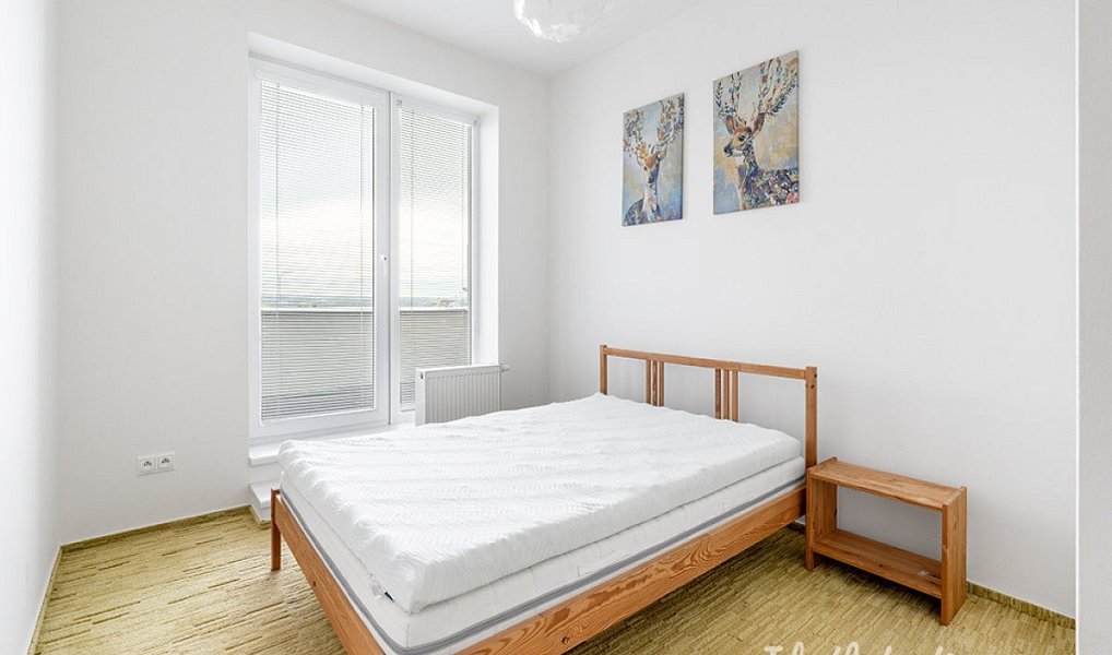 Pronájem bytu 2+kk 52 m², Praha – náhled fotky 6