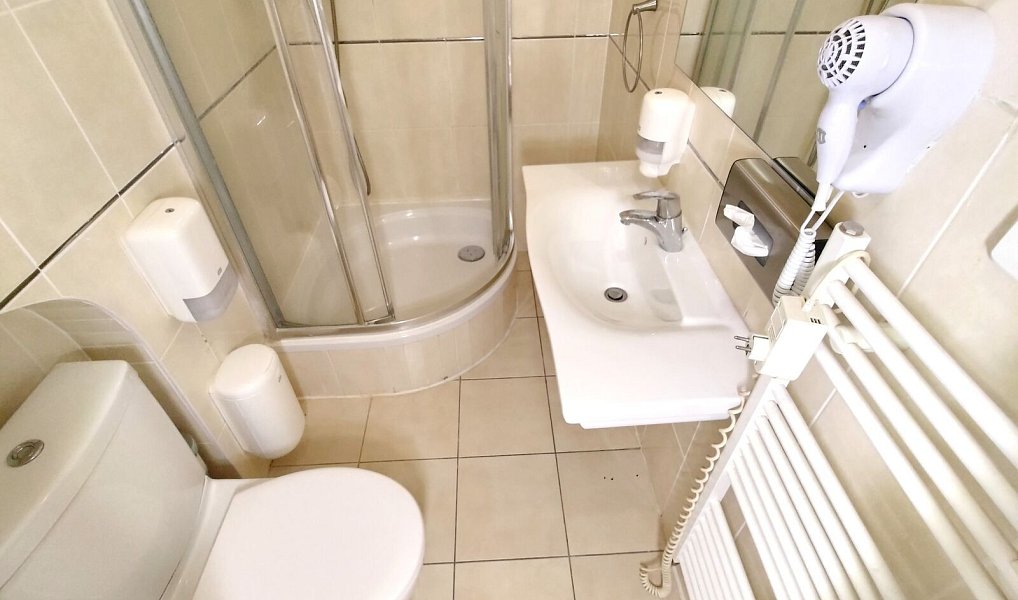 Pronájem bytu 4+kk 110 m², Plzeň – náhled fotky 8