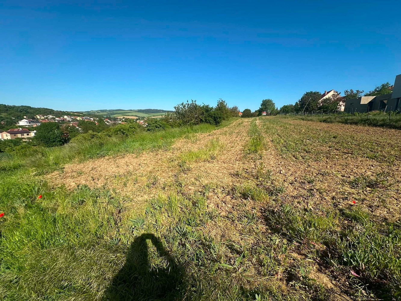 Prodej pole 2 375 m² – pohled 4