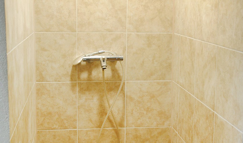 Prodej domu 450 m² s pozemkem 1 561 m², Březová – náhled fotky 10