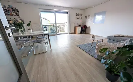 Prodej bytu 2+kk 63 m², Poděbradova, Plzeň - Jižní Předměstí