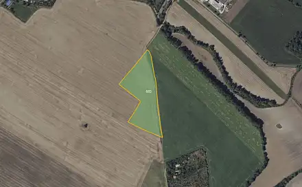 Prodej pole 38 023 m², Děčany - Solany, okres Litoměřice