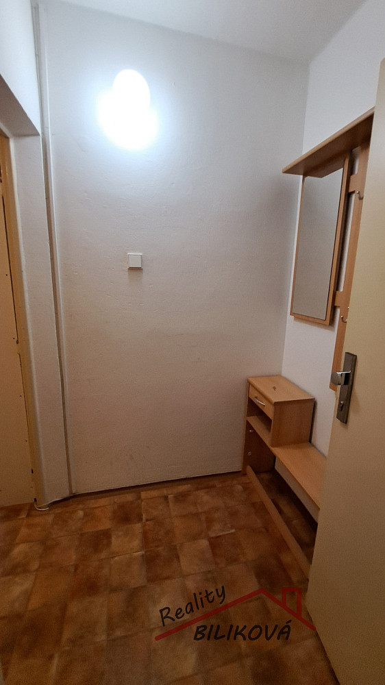 Pronájem bytu 1+1 38 m² – další
