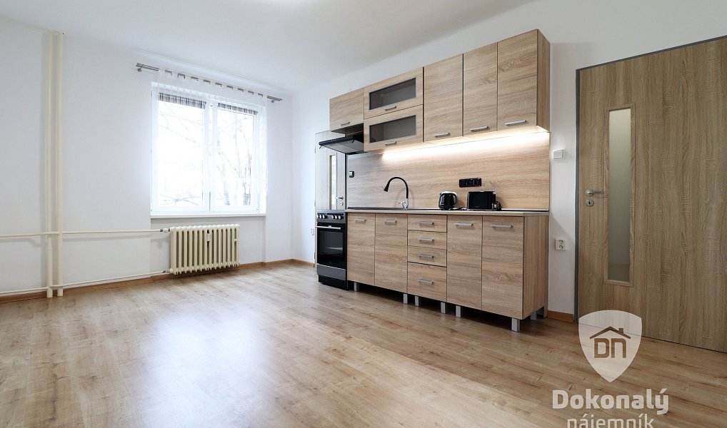 Pronájem bytu 1+kk 22 m², Praha – náhled fotky 4