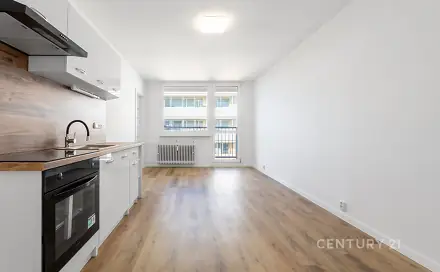 Pronájem bytu 2+kk 35 m², Brněnská, Most