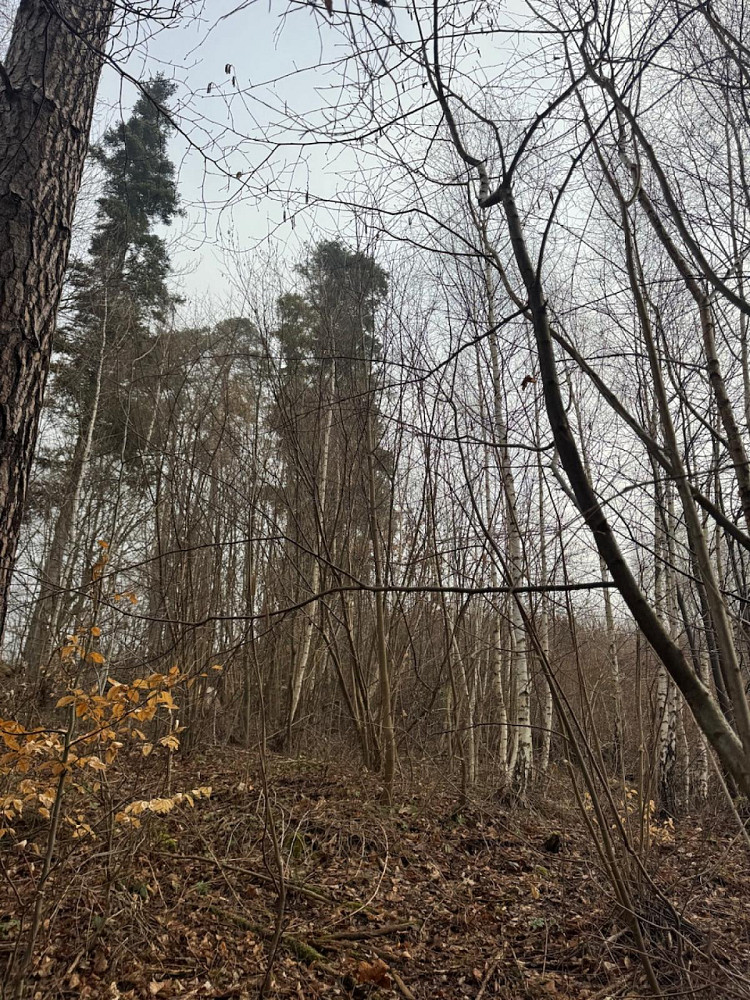 Fotka 9 z 16