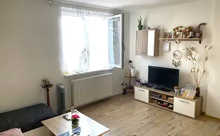 Prodej bytu 2+kk 42 m², Bzová, okres Beroun