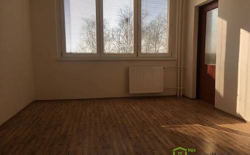 Pronájem bytu 1+1 45 m², Plzeňská, Ostrava - Zábřeh
