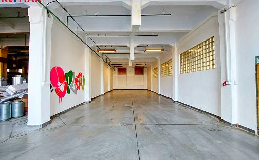 Pronájem skladovacích prostor 115 m², Doudleby nad Orlicí, okres Rychnov nad Kněžnou