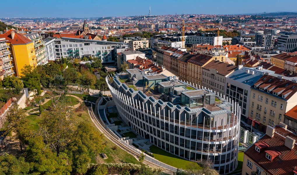 Pronájem kanceláře 345 m², Praha – náhled fotky 11