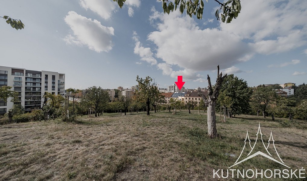 Prodej bytu 2+kk 40 m², Praha – náhled fotky 24