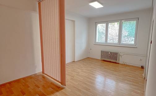 Pronájem bytu 1+1 40 m²
