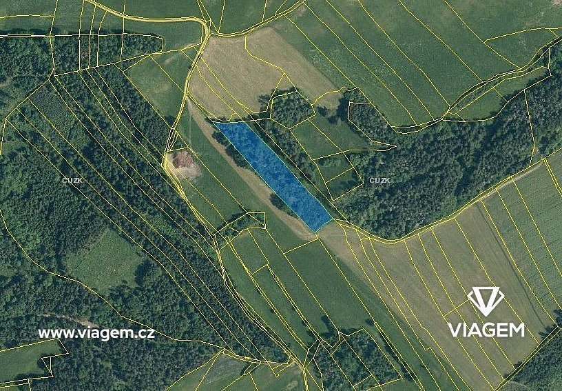 Prodej lesa 3 080 m² – fotografie 3