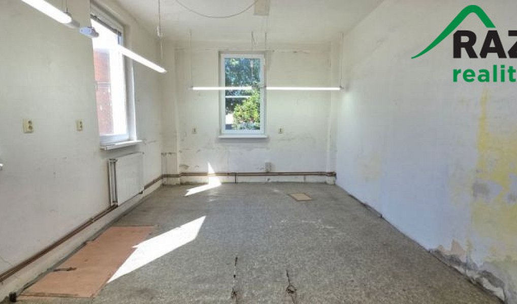 Pronájem výrobních prostor 249 m², Planá – náhled fotky 4