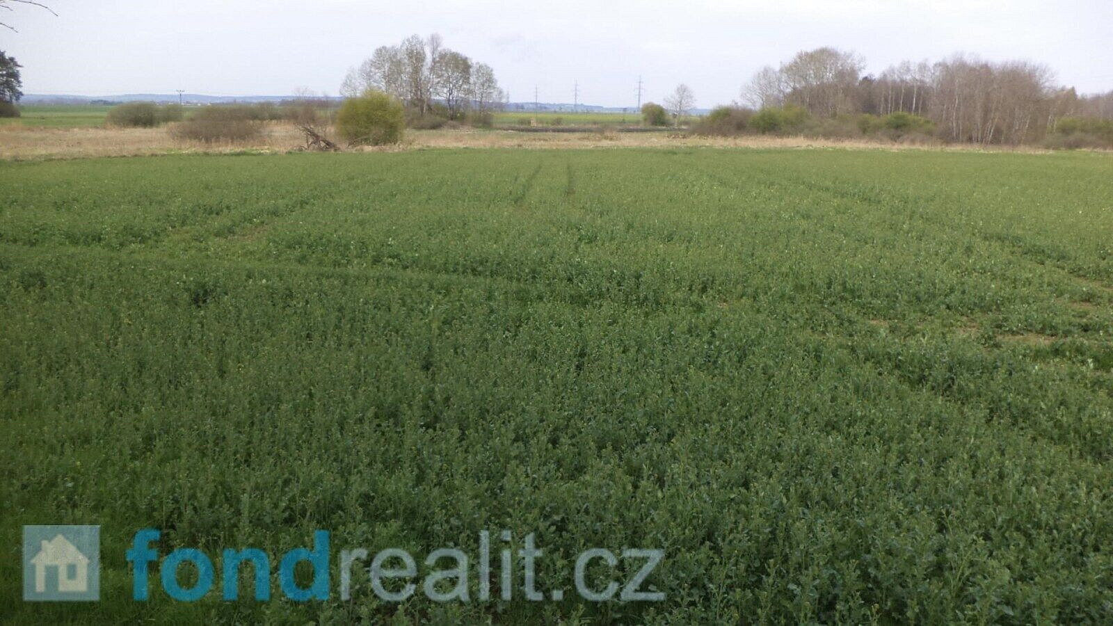 Prodej pole 3 467 m² – fotografie 2