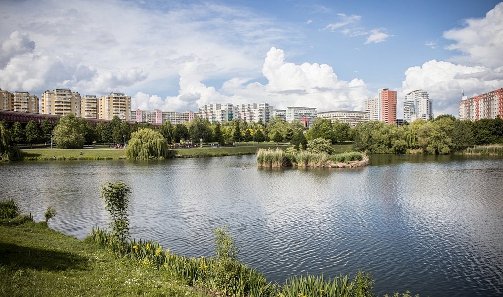 Prodej bytu 3+kk 73 m², Praha – náhled fotky 17