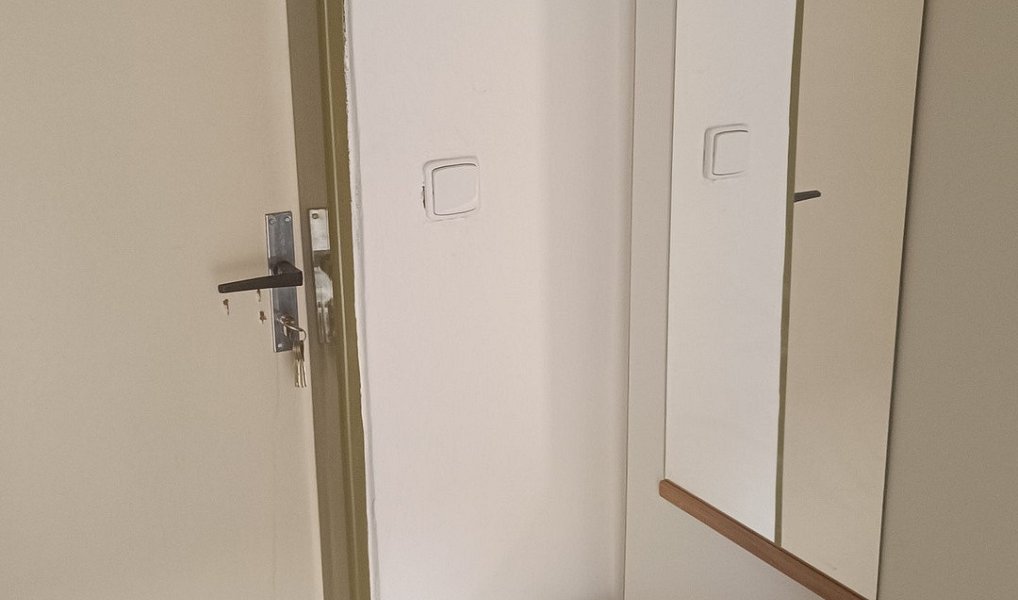 Pronájem komerčního objektu (jiného typu) 40 m², Ostrava – náhled fotky 5