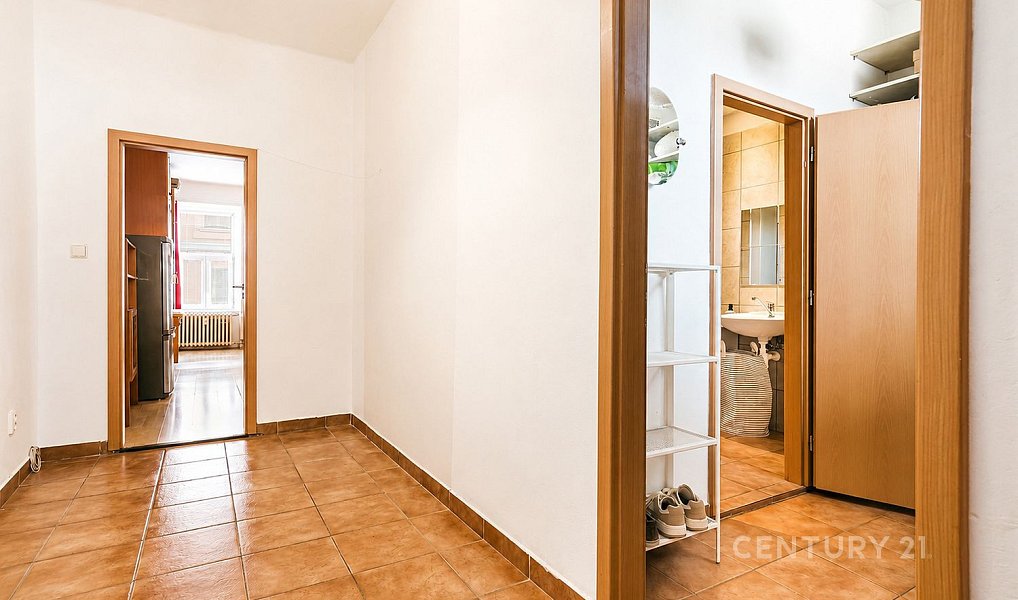 Prodej bytu 1+1 45 m², Brno – náhled fotky 10