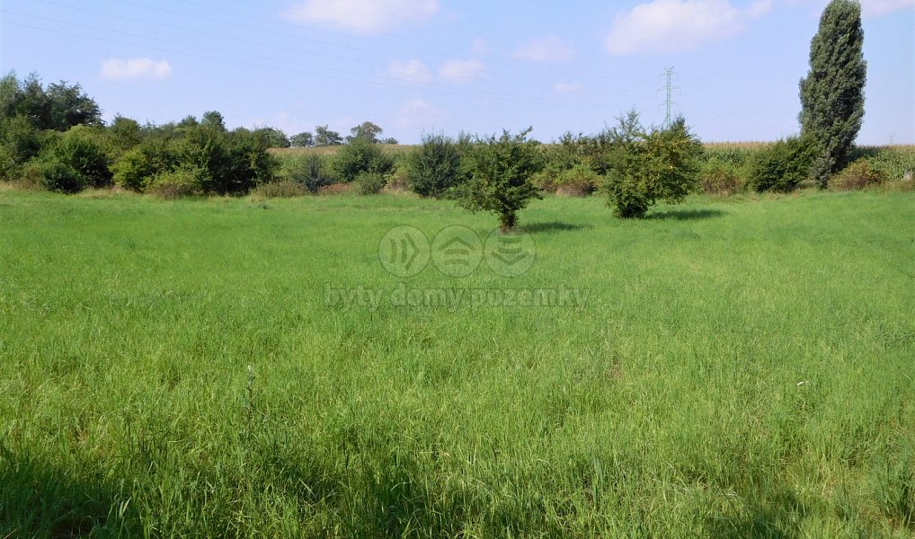 Prodej zemědělského objektu 600 m², Třebíz – náhled fotky 6