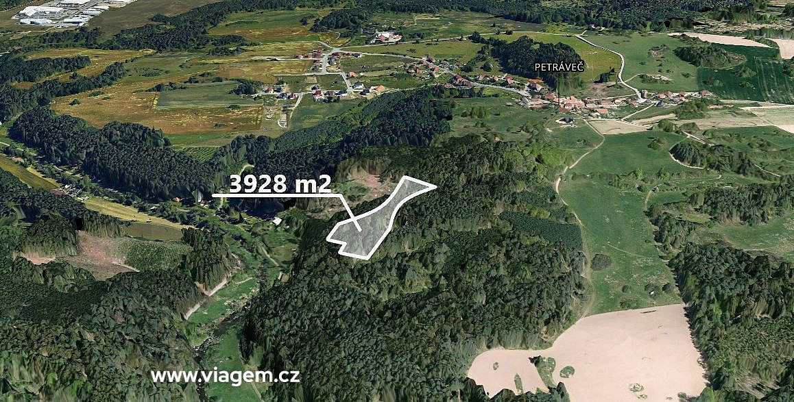 Prodej lesa 3 927 m² – fotografie 2