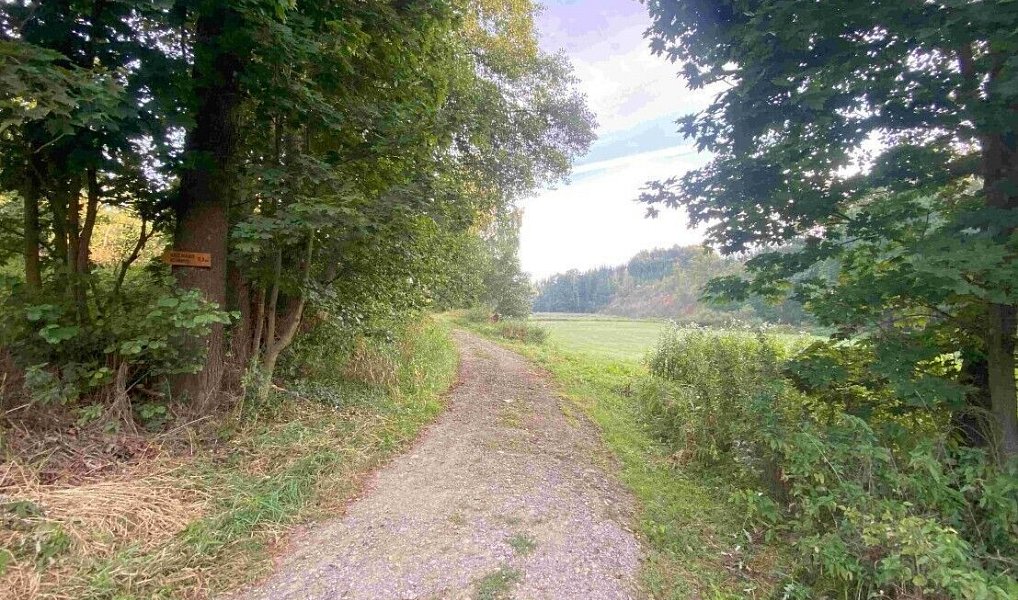 Prodej pole 9 377 m², Polná – náhled fotky 5