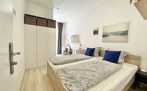 Pronájem bytu 1+kk 18 m², Václavská, Brno - Staré Brno