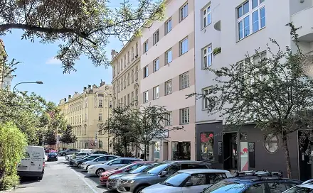 Pronájem bytu 1+1 40 m², Gorkého, Brno