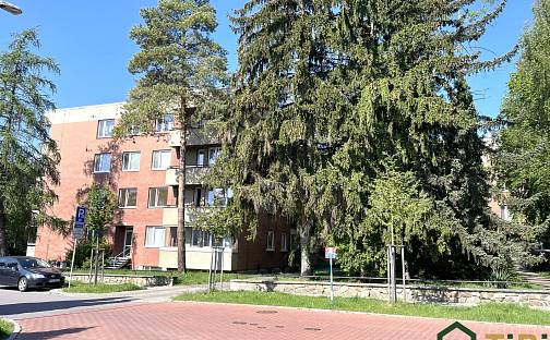 Prodej bytu 3+1 72 m², Brno - Lesná