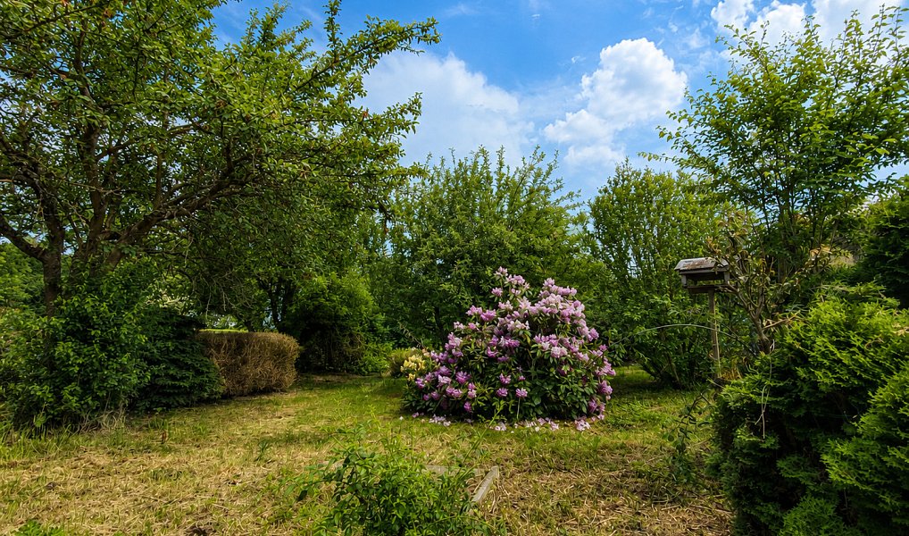 Prodej chaty/chalupy 48 m² s pozemkem 362 m², Tuchořice – náhled fotky 3