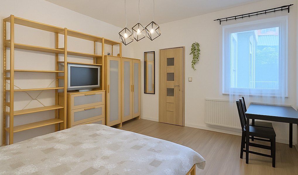 Pronájem bytu 1+1 31 m², Brno – náhled fotky 6