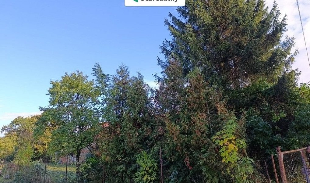 Prodej stavebního pozemku 1 232 m², Hluchov – náhled fotky 12