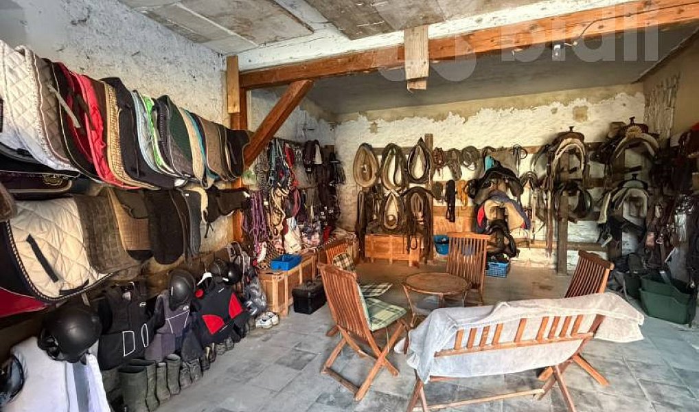 Prodej zemědělského objektu 300 m², Varnsdorf – náhled fotky 15