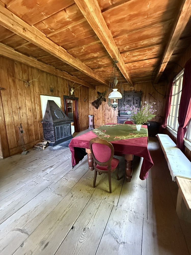 Fotka 14 z 15