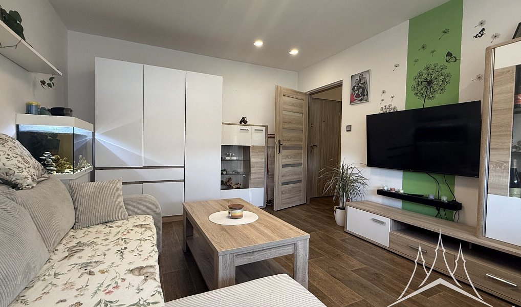Pronájem bytu 1+kk 25 m², Zruč nad Sázavou – náhled fotky 7