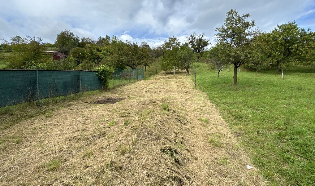 Prodej chaty/chalupy 1 140 m² s pozemkem 340 m², Kyjov – náhled fotky 4