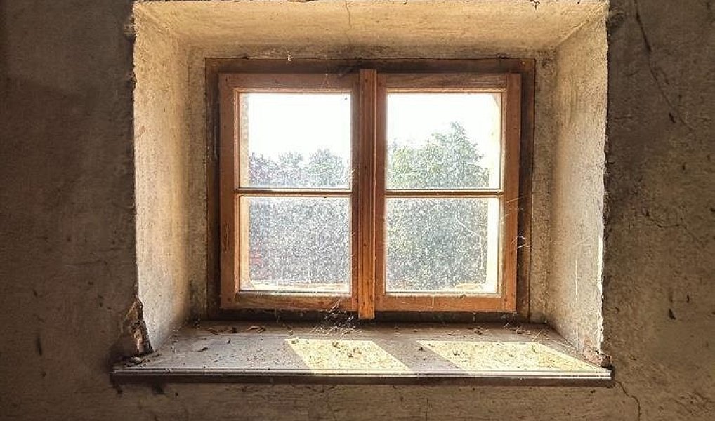 Prodej domu 190 m² s pozemkem 662 m², Černěves – náhled fotky 30
