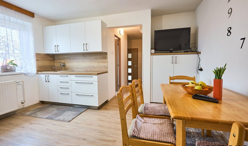 Prodej domu 232 m² s pozemkem 1 077 m², Hrušovany u Brna – náhled fotky 4