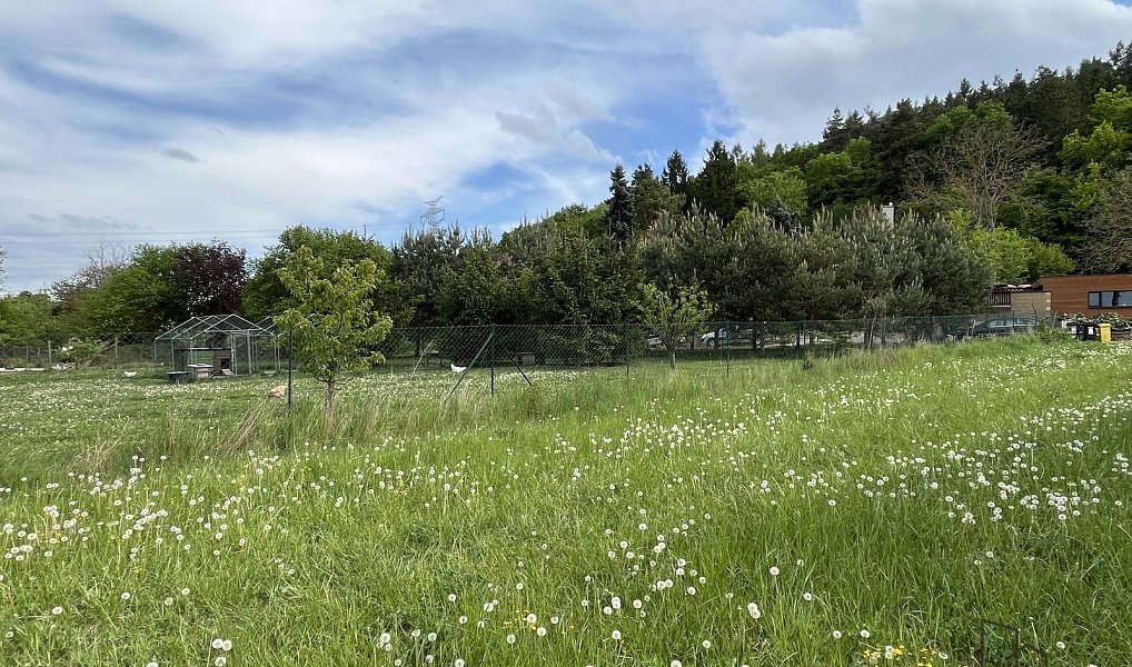 Prodej stavebního pozemku 814 m², Sentice – náhled fotky 4