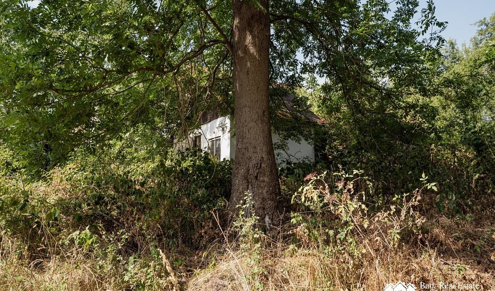 Prodej zahrady 203 m², Rabyně – náhled fotky 4