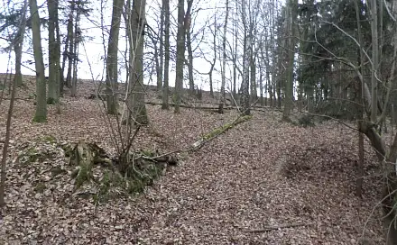 Prodej lesa 28 299 m², Křečovice - Nahoruby, okres Benešov