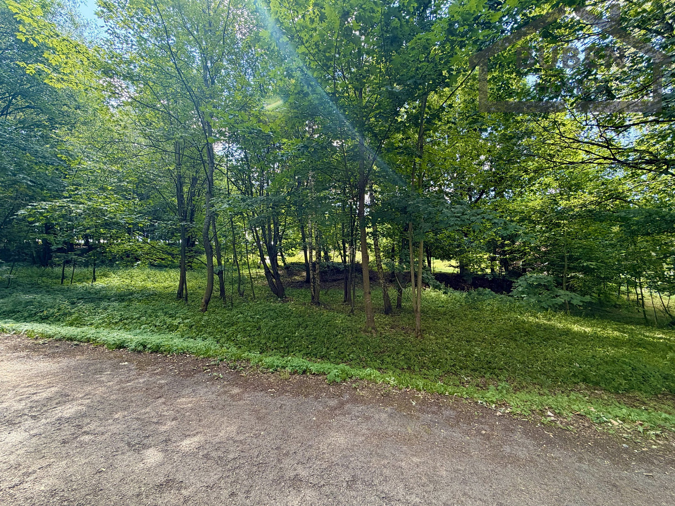 Prodej stavebního pozemku 4 165 m² – fotografie 4