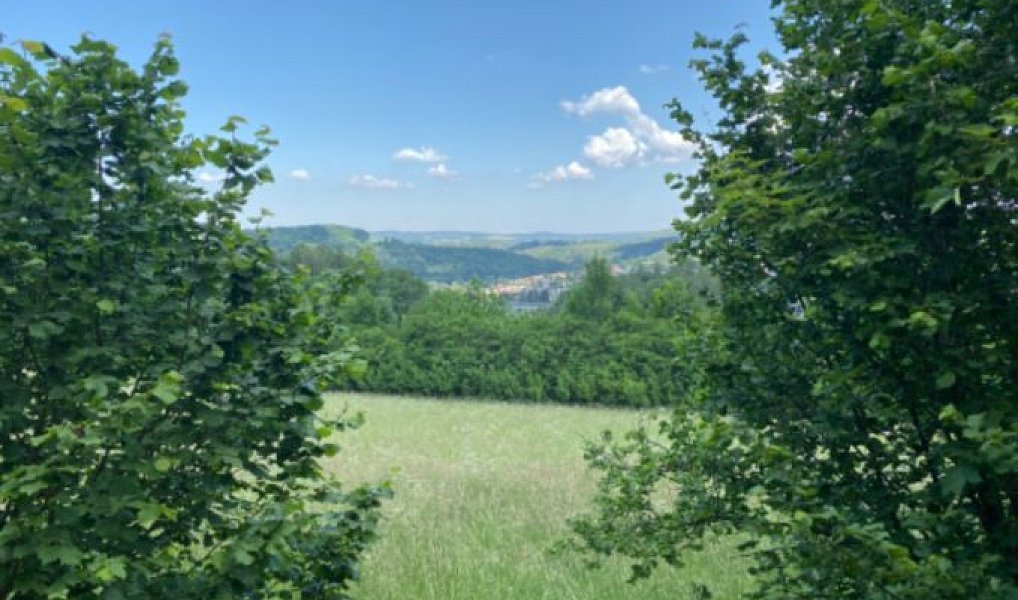 Prodej stavebního pozemku 4 256 m², Sázava – náhled fotky 3