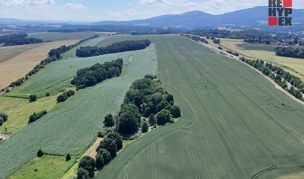 Prodej lesa 15 525 m², Hrádek nad Nisou – náhled fotky 8