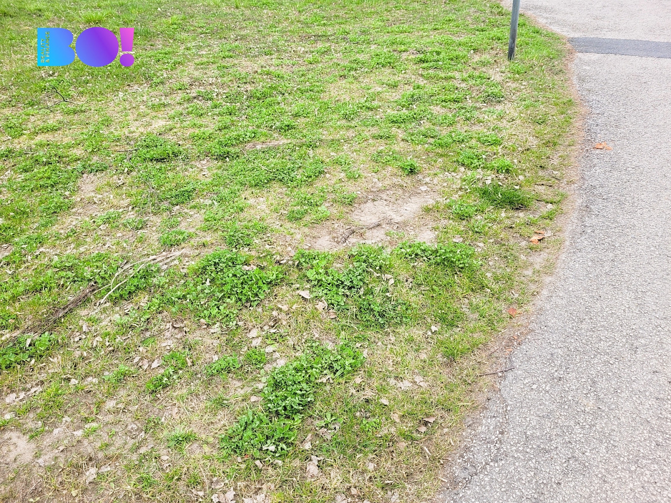 Prodej stavebního pozemku 989 m² – fotografie 4