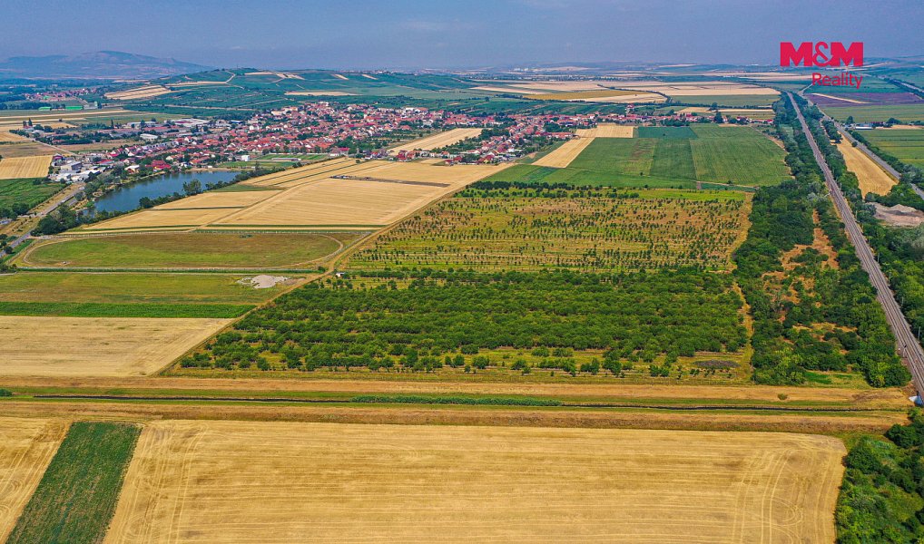 Prodej pole 12 442 m², Rakvice – náhled fotky 10