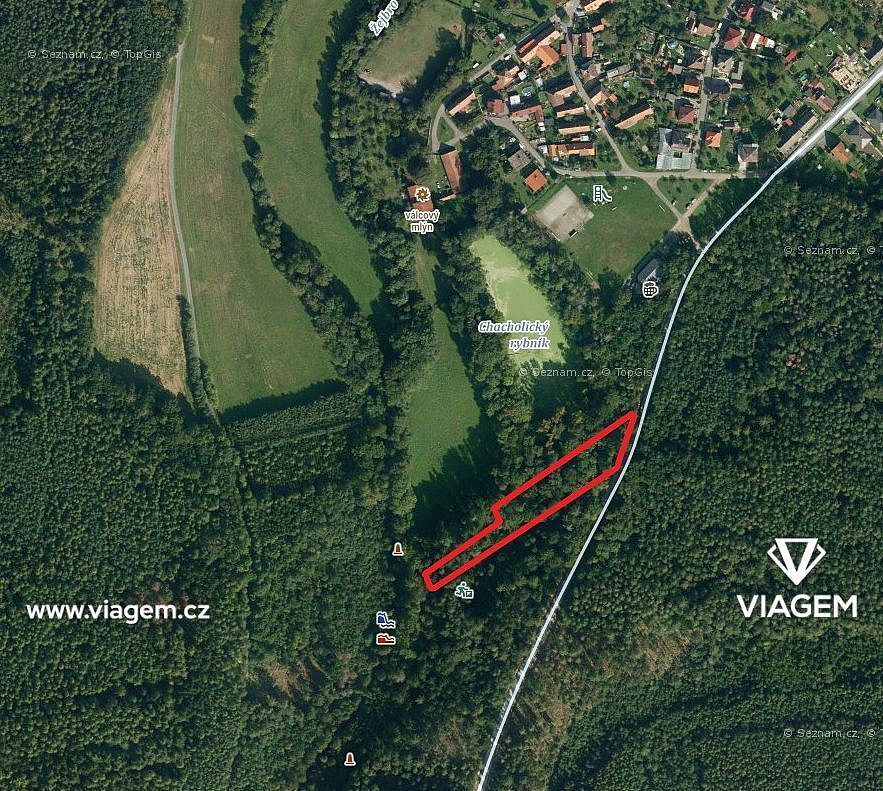 Prodej lesa 1 007 m²