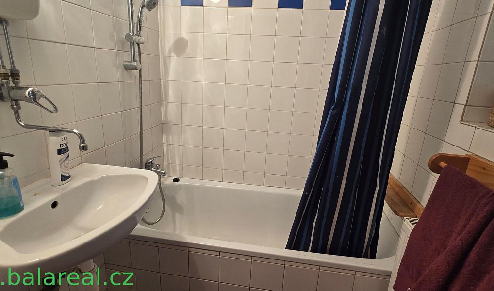 Prodej domu 93 m² s pozemkem 1 667 m², Šošůvka – náhled fotky 39
