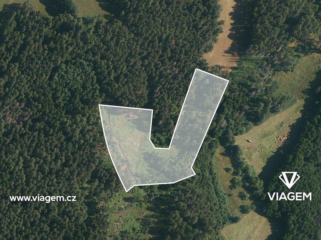 Prodej lesa 2 075 m² – fotografie 2