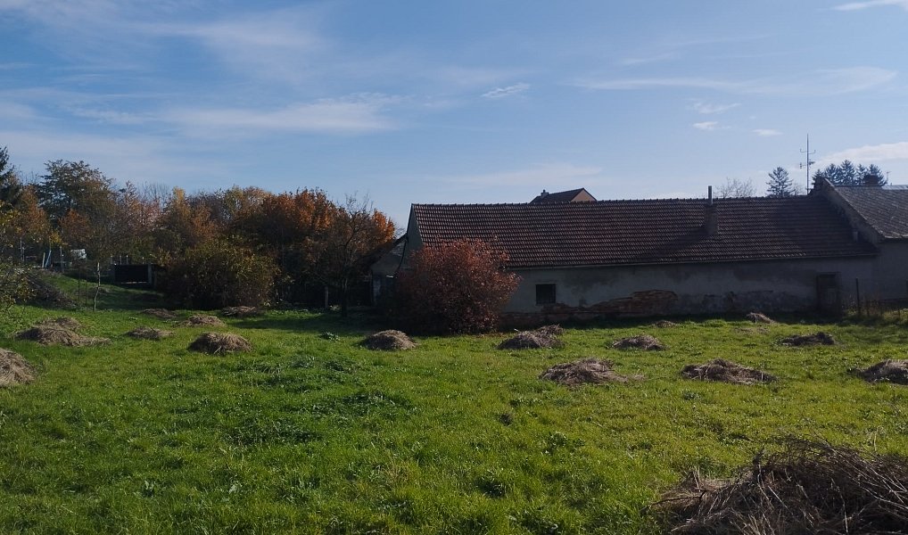 Prodej stavebního pozemku 4 411 m², Holubice – náhled fotky 7
