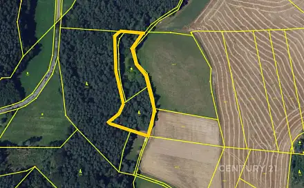Prodej lesa 5 622 m², Vranová, okres Blansko